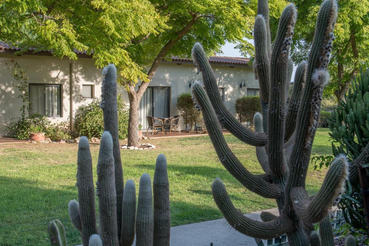 Degania Bet Kibbutz Country Lodging Kinneret Exterior photo